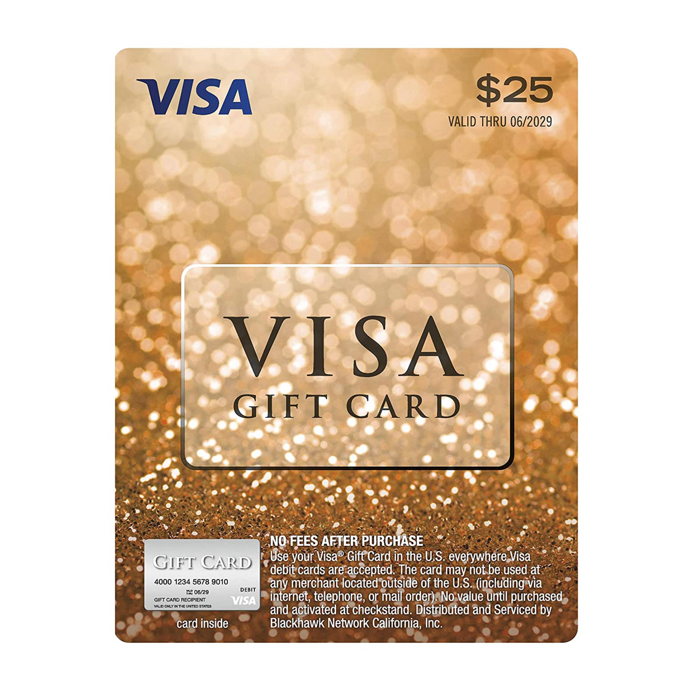 $25 Visa Gift Card